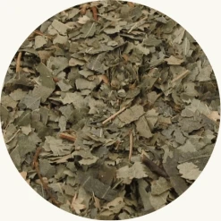 Van de berk gebruiken we de bladeren voor de kruidenthee.