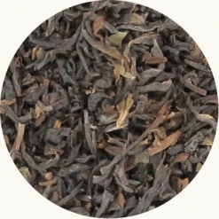 darjeeling thee kopen?