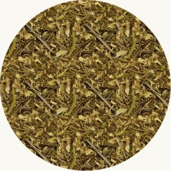 Chrysanthellum Americanum