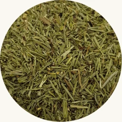 heermoes paardenstaart