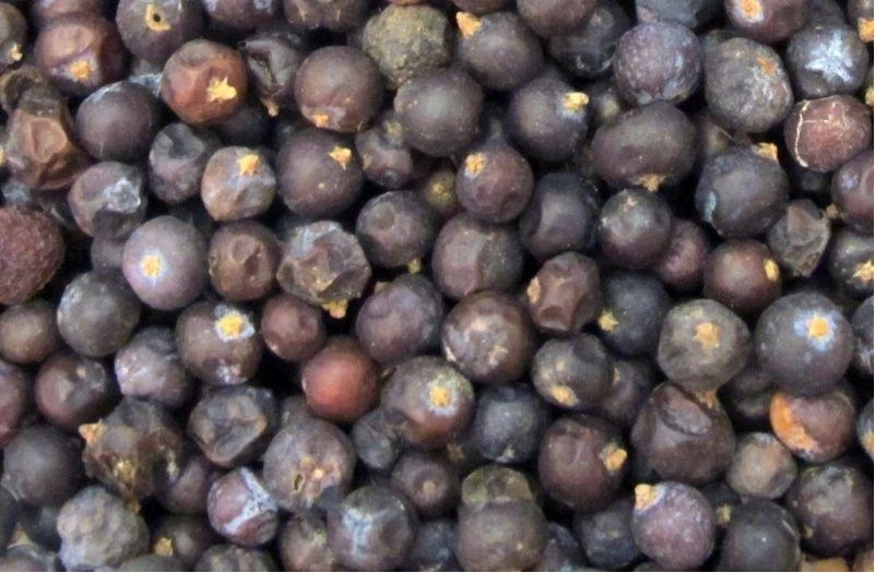 Jeneverbes 2 jeneverbes