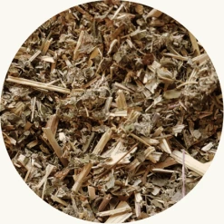 Olmkruid voor uw kruidenthee kopen? Kruidshop.nl