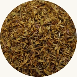 Rode Klaver kopen? Kruidshop.nl