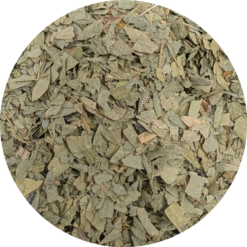 Senna Bladeren Gesneden