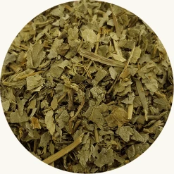 vrouwenmantel voor uw kruidenthee kopen? Kruidshop.nl