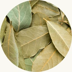 laurierblad heel. Pakistaans onderzoek geweest waarin er een link gelegd wordt tussen drinken van laurierthee en het laten dalen van de bloedsuiker spiegel.