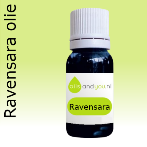 Ravensara olie