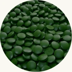 Spirulina 300 tabletten BIO
