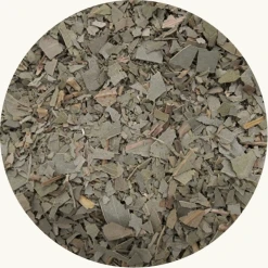 eucalyptusblad voor kruidenthee