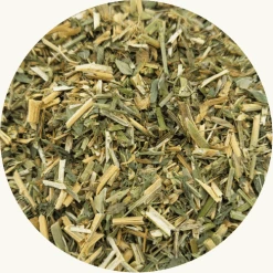 alfalfa kruid