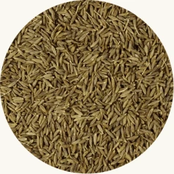 Komijnzaad is een veelzijdig kruid dat in veel verschillende keukens over de hele wereld wordt gebruikt. Het heeft een warm, aardachtig aroma met een lichte citrusachtige toets. Komijnzaad kan zowel gemalen als heel worden gebruikt.