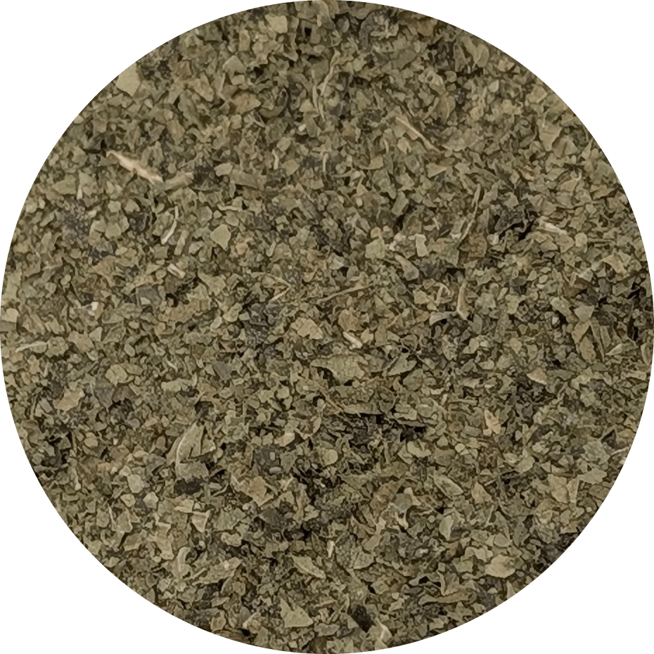 Citroen Verbena 1 Citroen Verbena