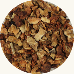 cichorei wortel per 100 gram